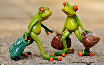 How and when did frogs start to hop?